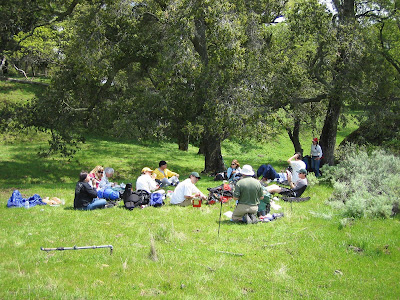 ohlone wilderness trail
