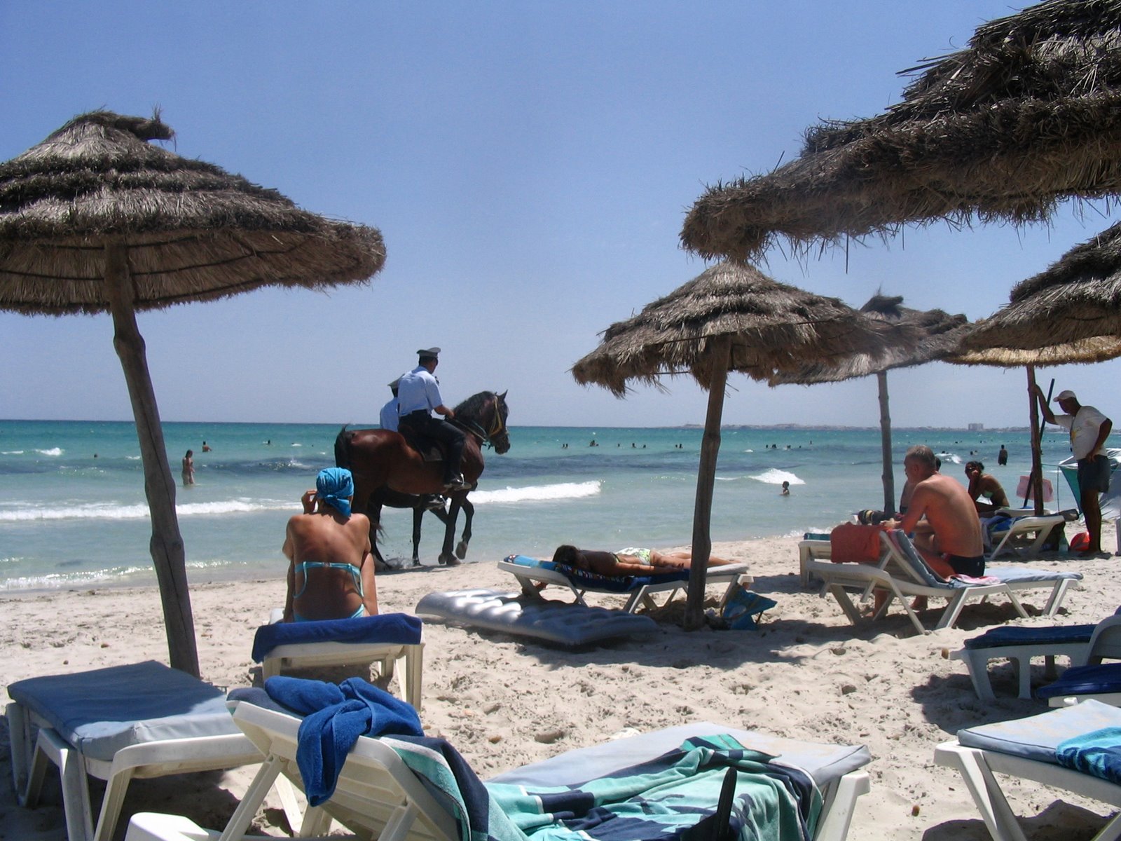[IMG_0036.JPG]