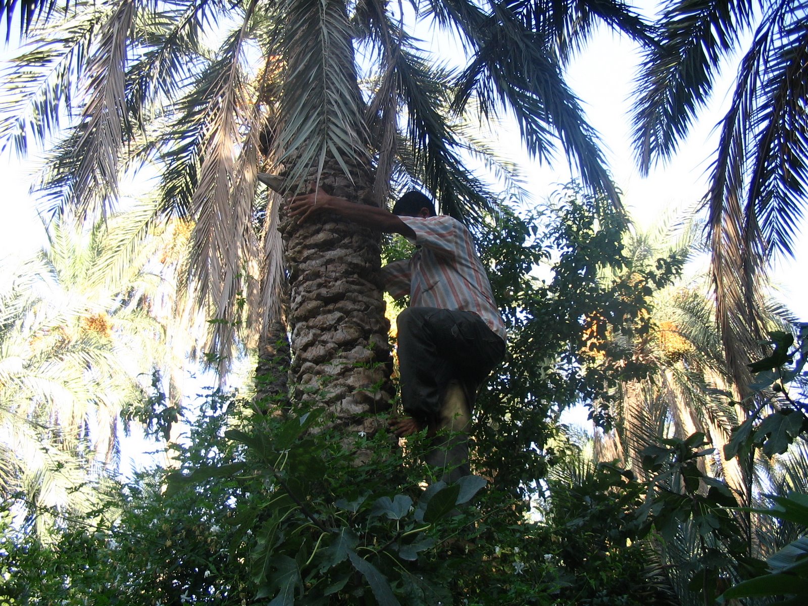 [IMG_0134.JPG]