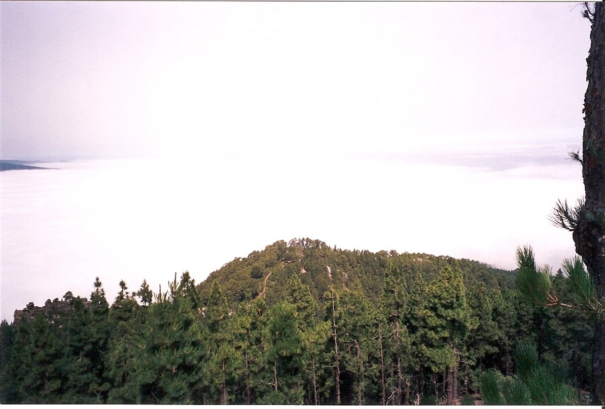 [escanear0024.jpg]