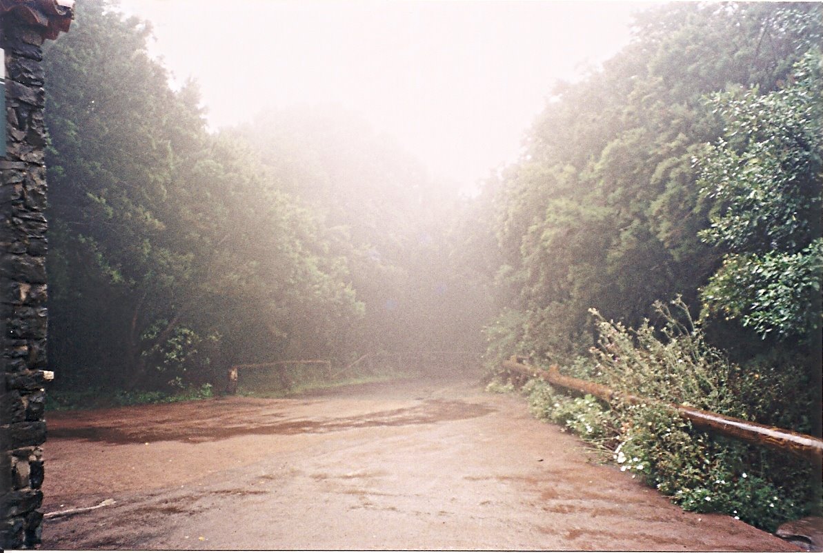 [escanear0061.jpg]