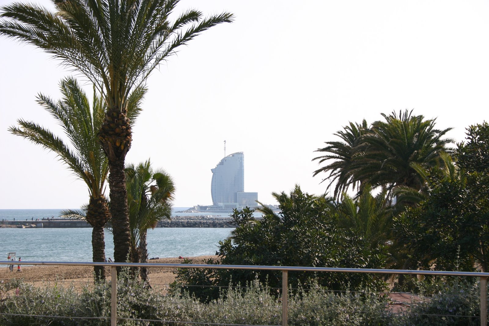 [IMG_4842.JPG]