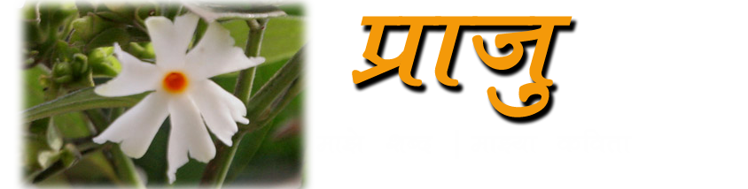 प्राजु