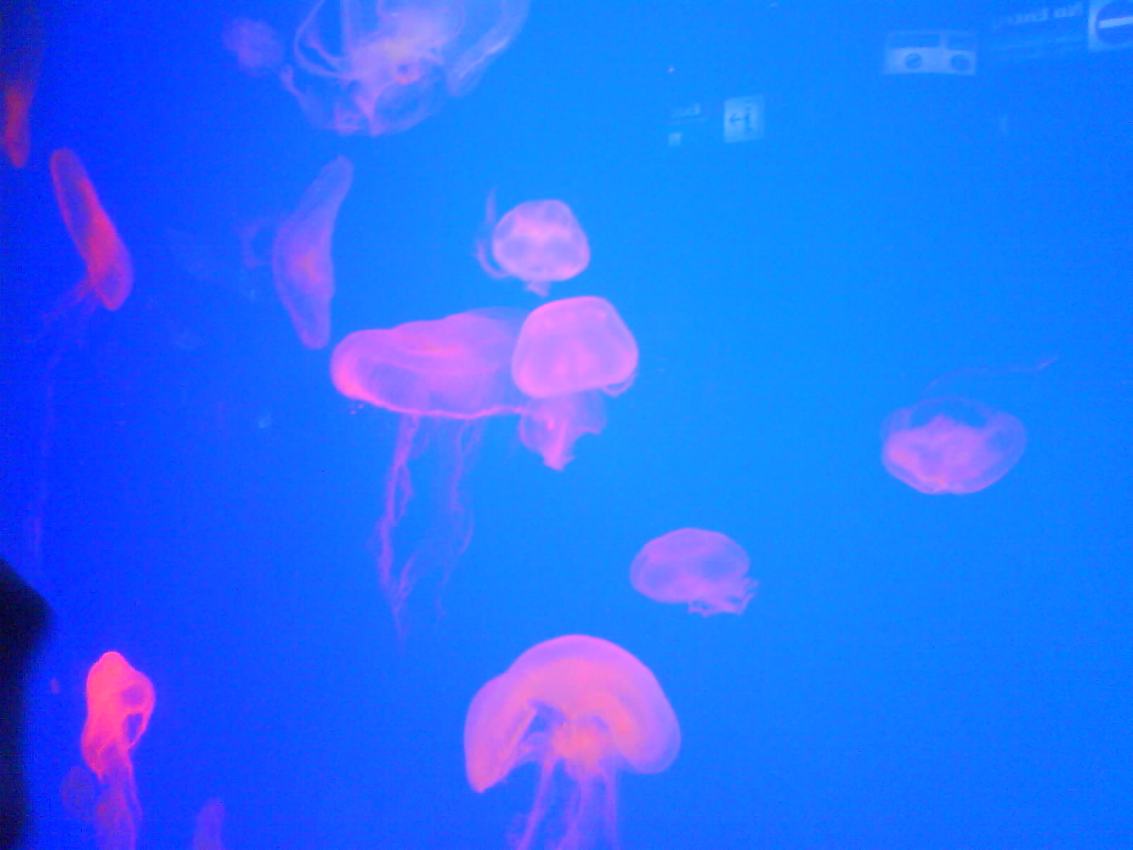 [DSC00138.JPG]
