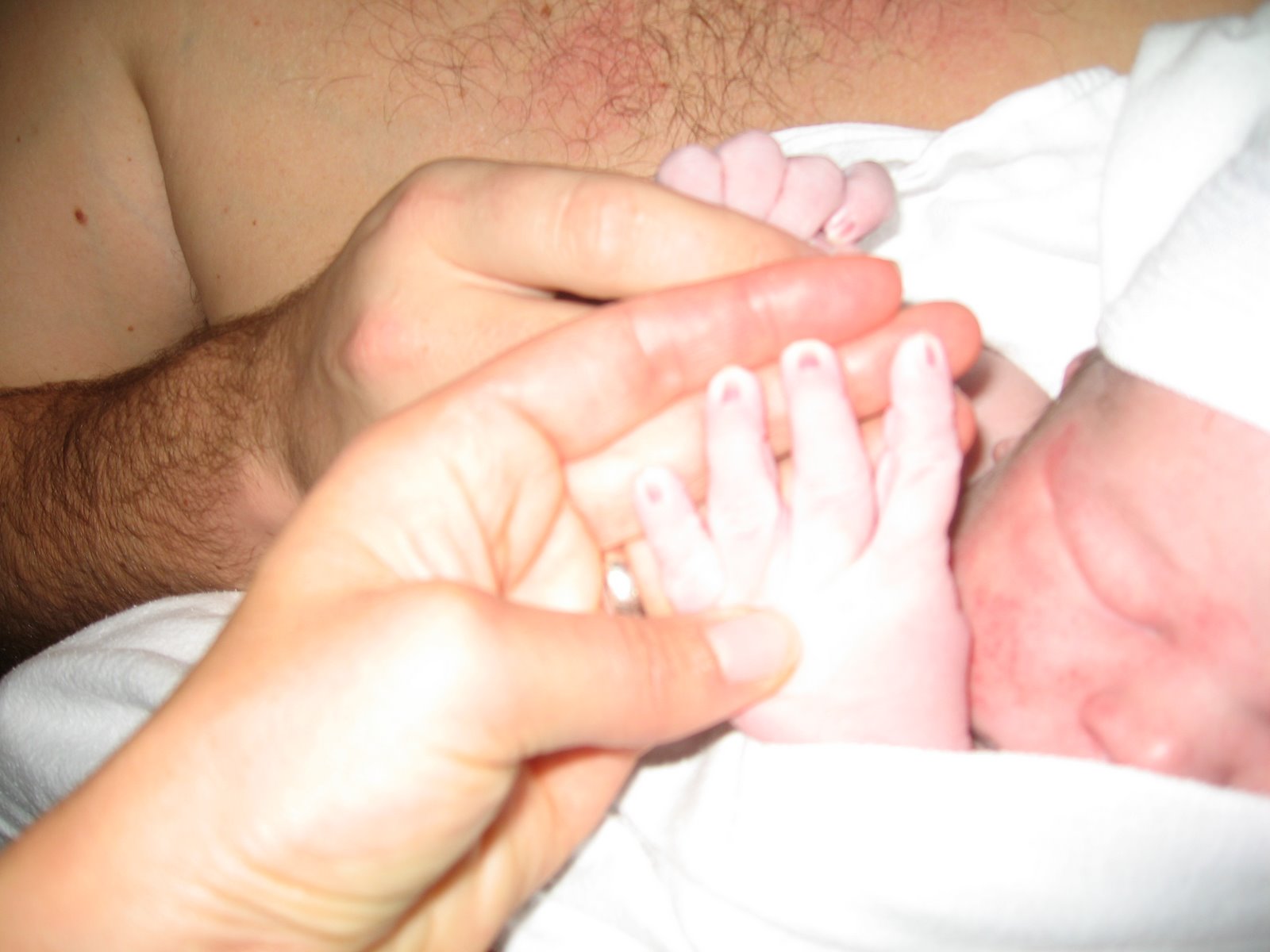 [giant+hands+137.JPG]