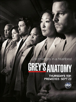 Greys Anatomy – 9X22 temporada 9 capitulo 22
