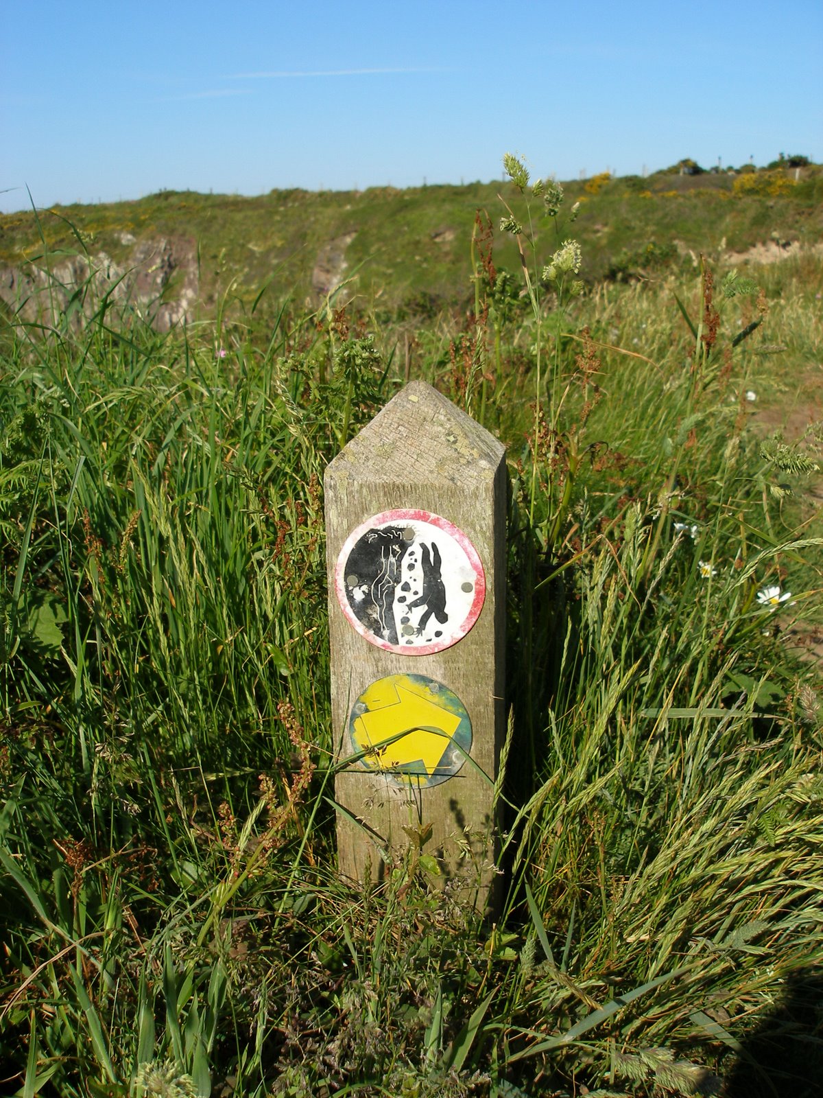 [P6010245.JPG]