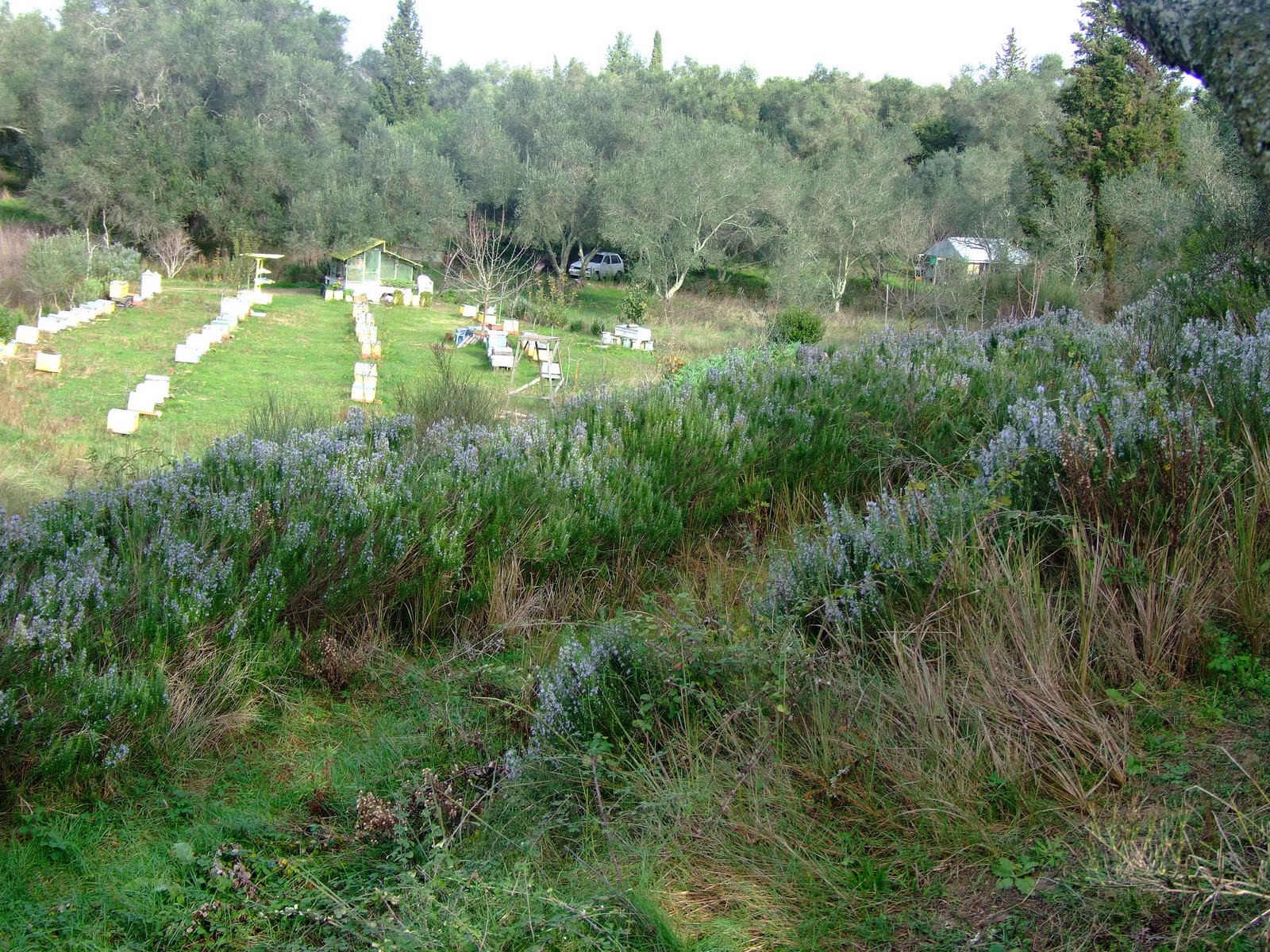 [DSCF6752.JPG]