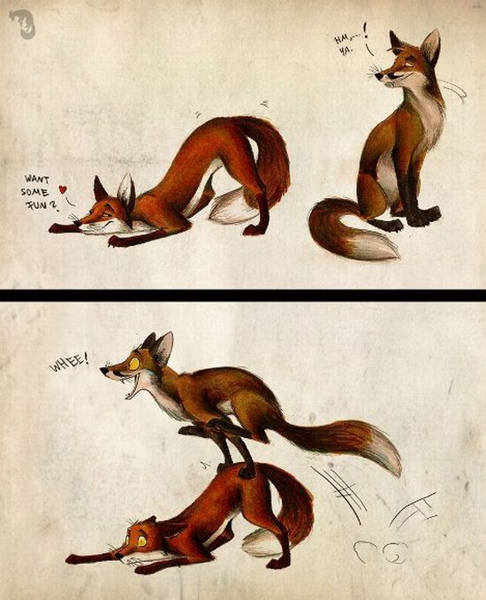 [fox+jump.jpg]