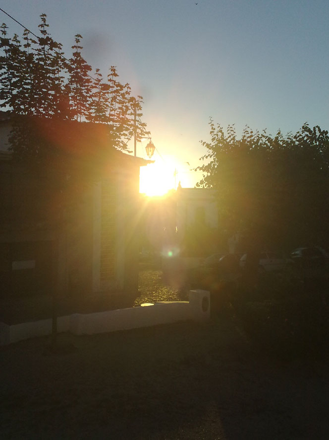 [DSC03613.jpg]