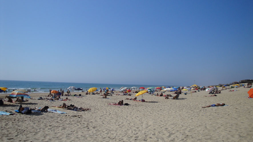 [DSC01714.JPG]
