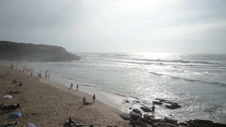 [DSC01331.JPG]
