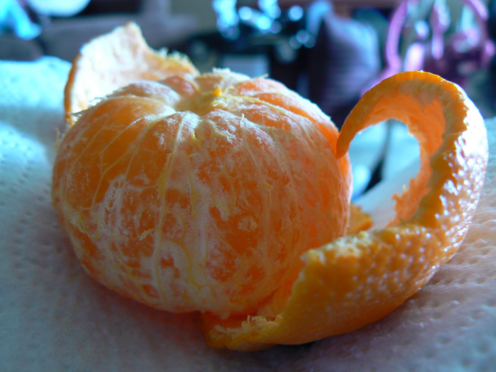 My Life in 365 Photos Day 111 Orange Cutie