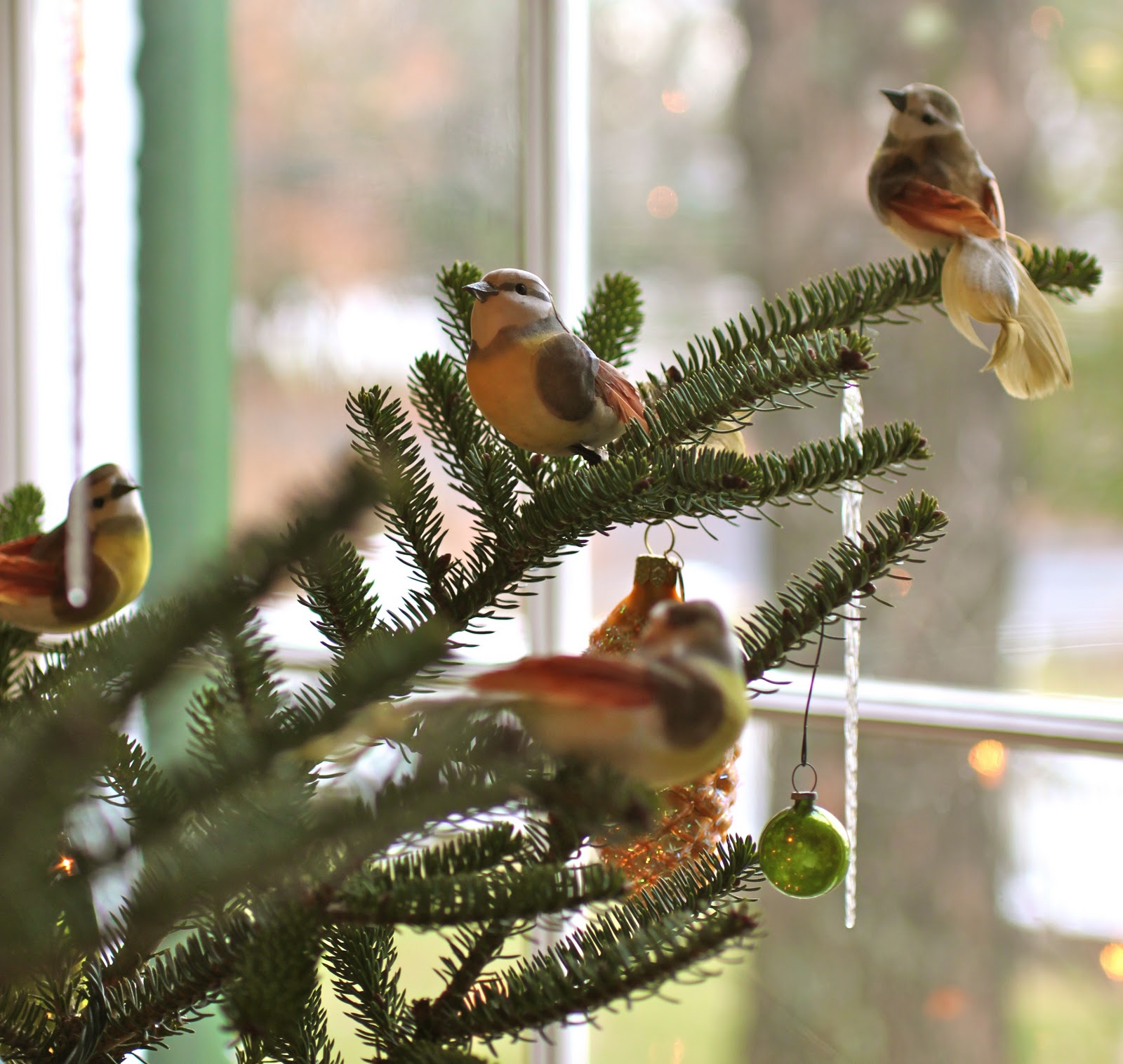 Reggie Darling A Darlington Winter Woodland Christmas Tree