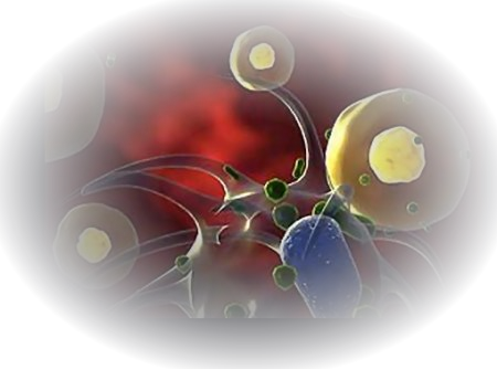 [Cómo_el_tabaco_mengua_las_defensas.png]