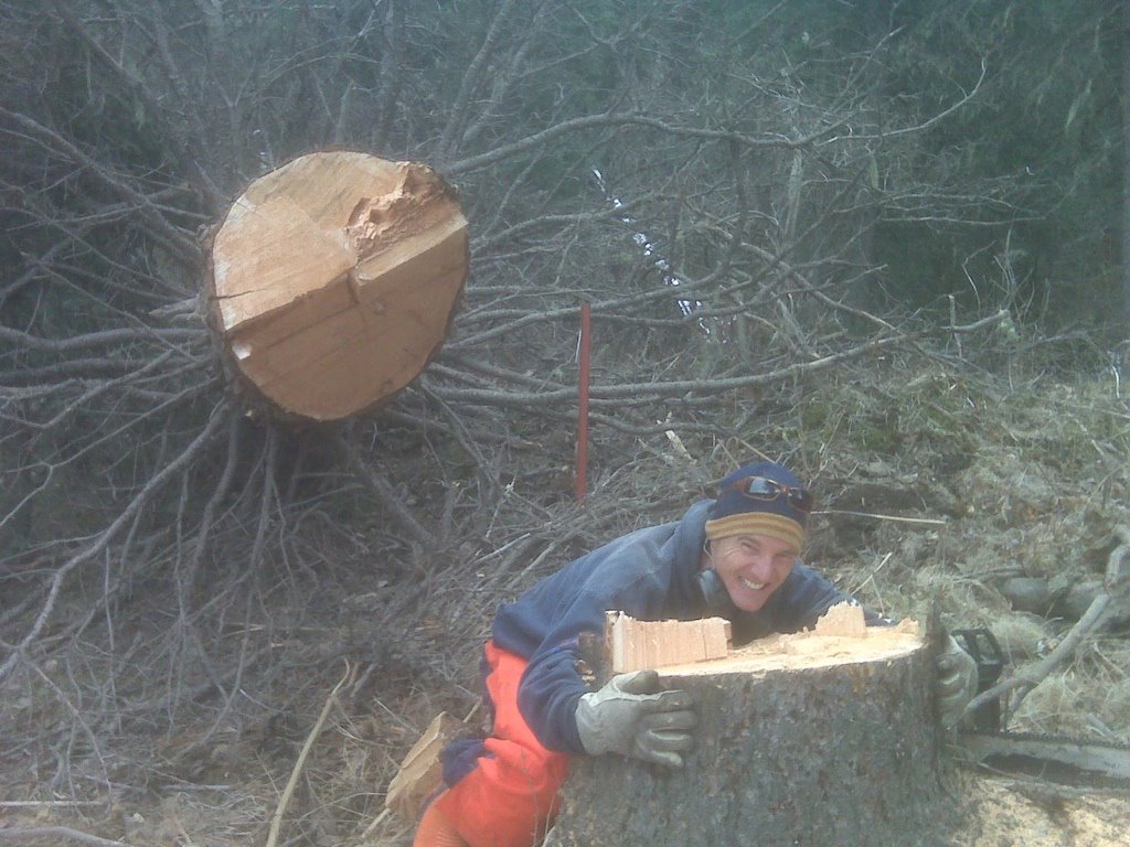 [Will_Keith_tree_huggers+2.jpg]