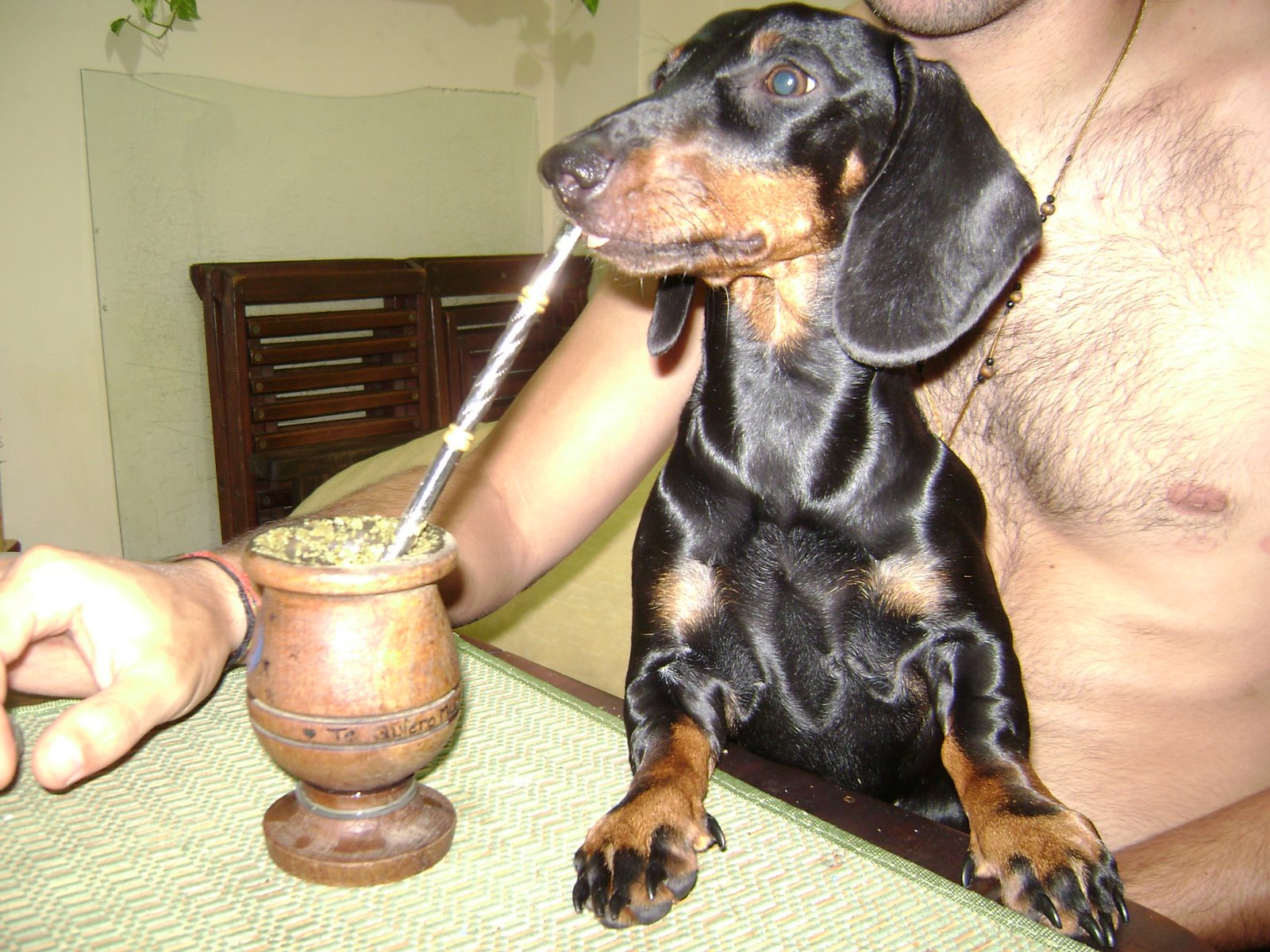 [Pioja+Tomando+Mate.JPG]