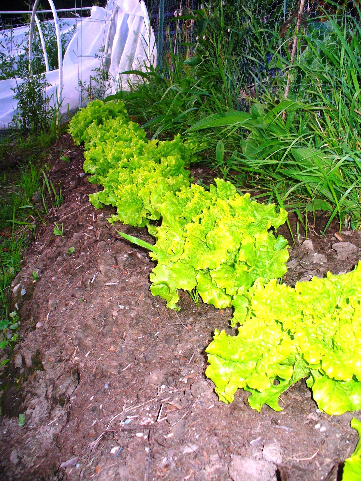 [July+2009+006.jpg]