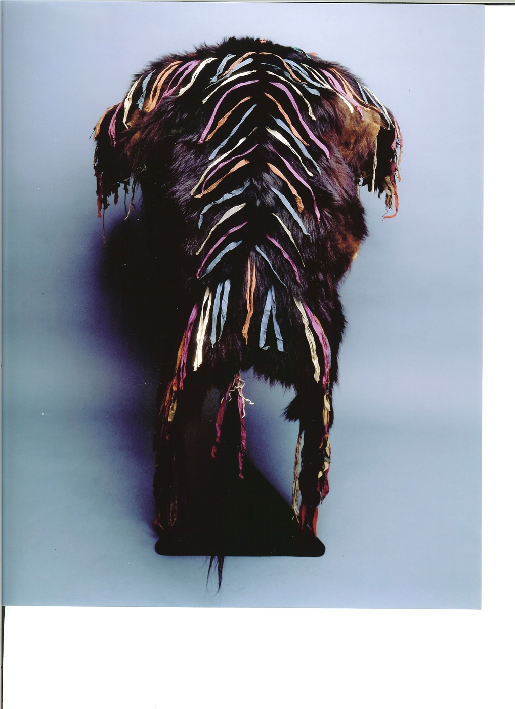 [Bearskin+Robe+back0002.JPG]