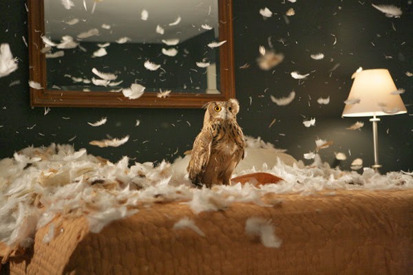 [DA-Migration_still_03.jpg]