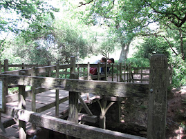 Playing Poohsticks