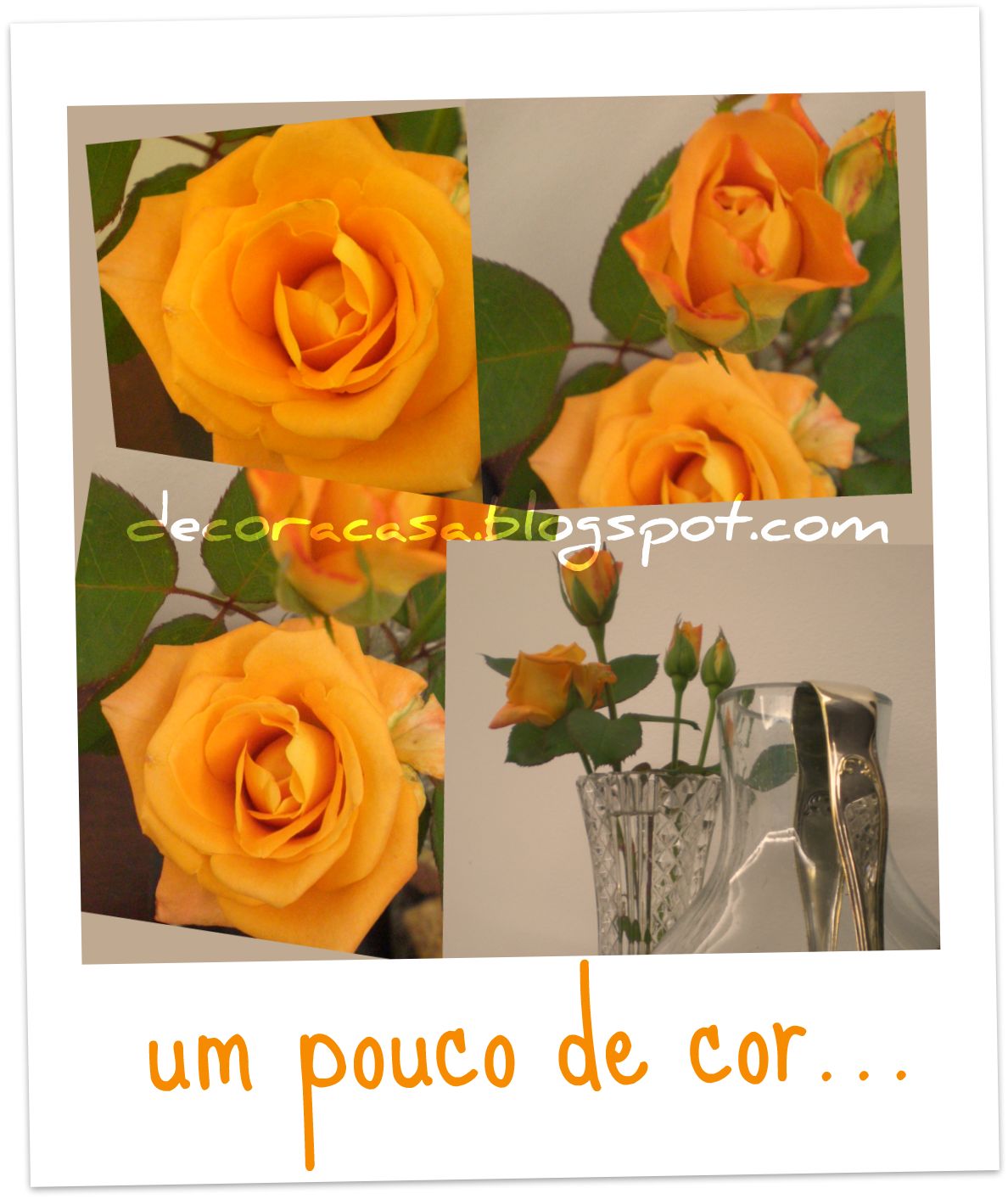 [Colagem+do+Picnik.jpg]