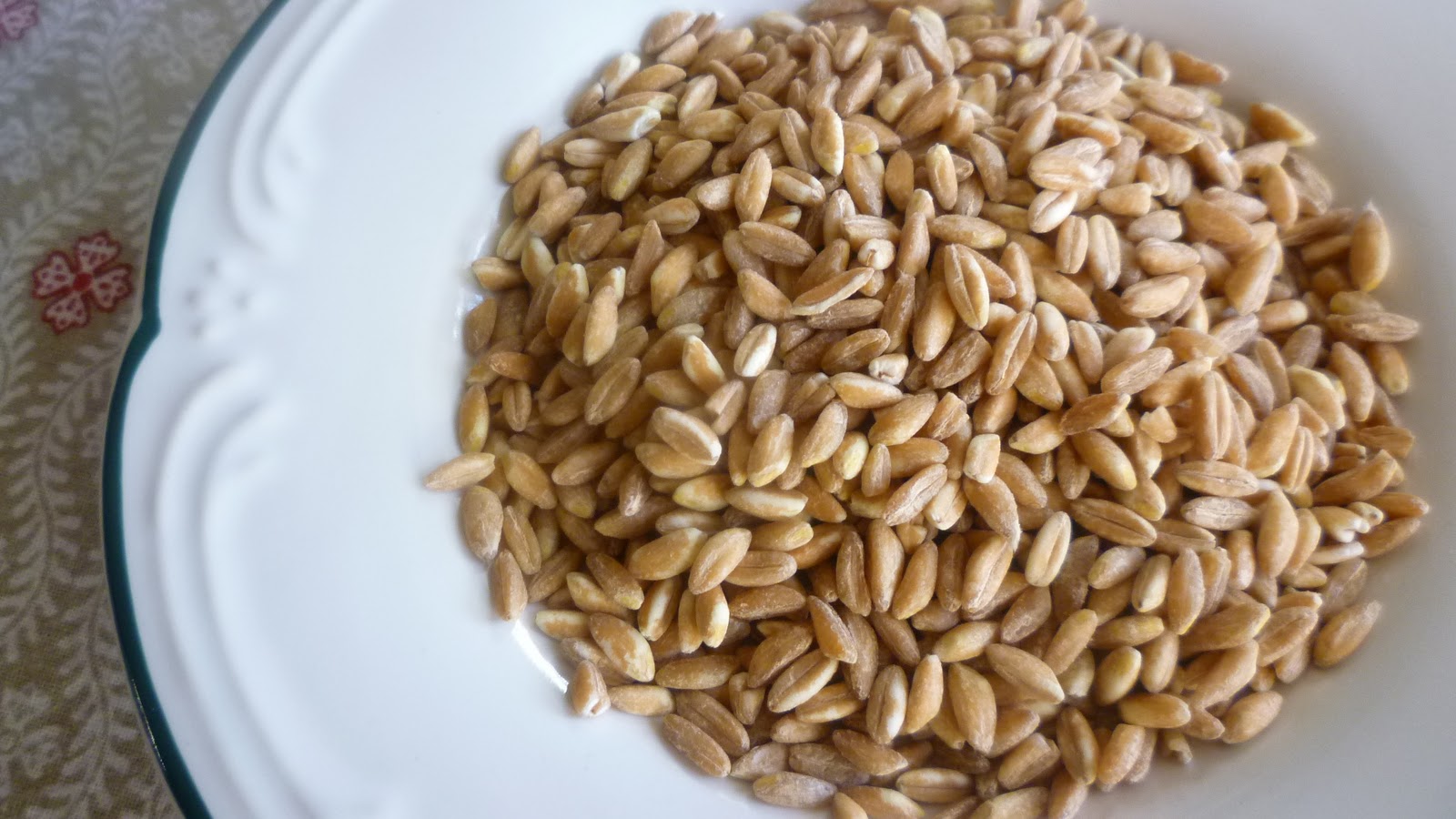 For Love of the Table My Introduction to Farro in "Farro & Tuscan Kale