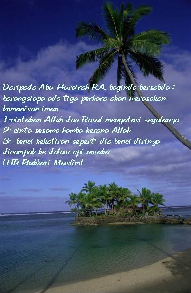 http://3.bp.blogspot.com/_sgeZDMyuap0/SeC2rNb00eI/AAAAAAAAACg/gHAck3eSsHU/S760/12.jpg