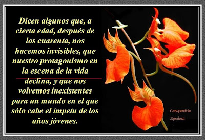 Resultado de imagen para cuando me volvi invisible