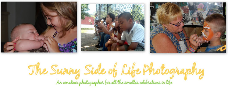 The Sunny Side of Life Photography