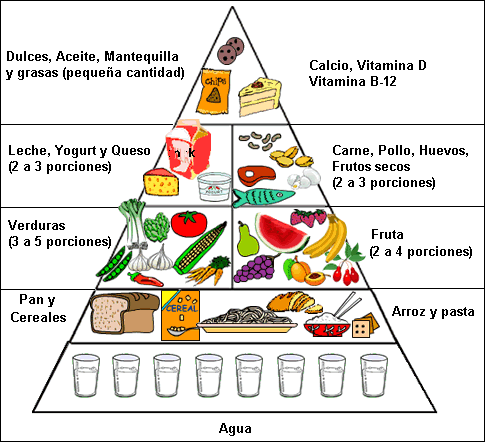 [PIRAMIDE-ALIMENTICIA.GIF]