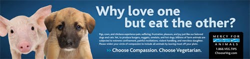 [WhyLoveNYCAd_ORIGINALsmall.jpg]