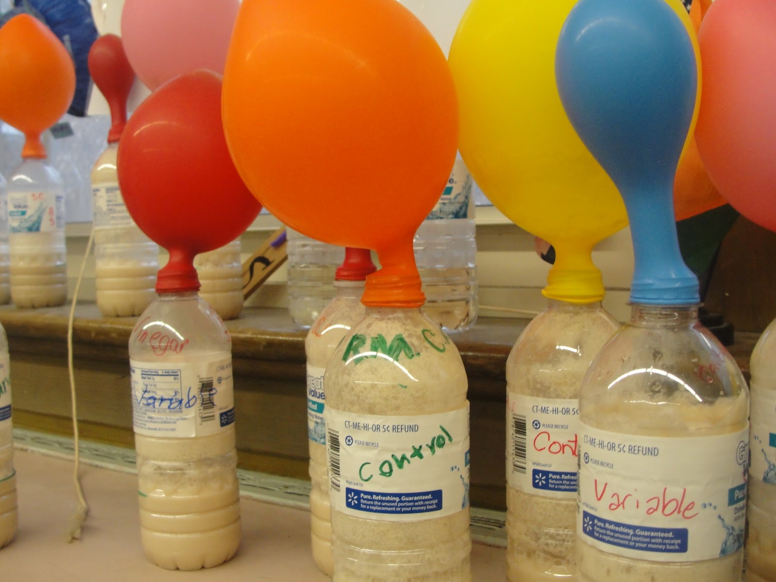 How was school today? yeast cells and balloons