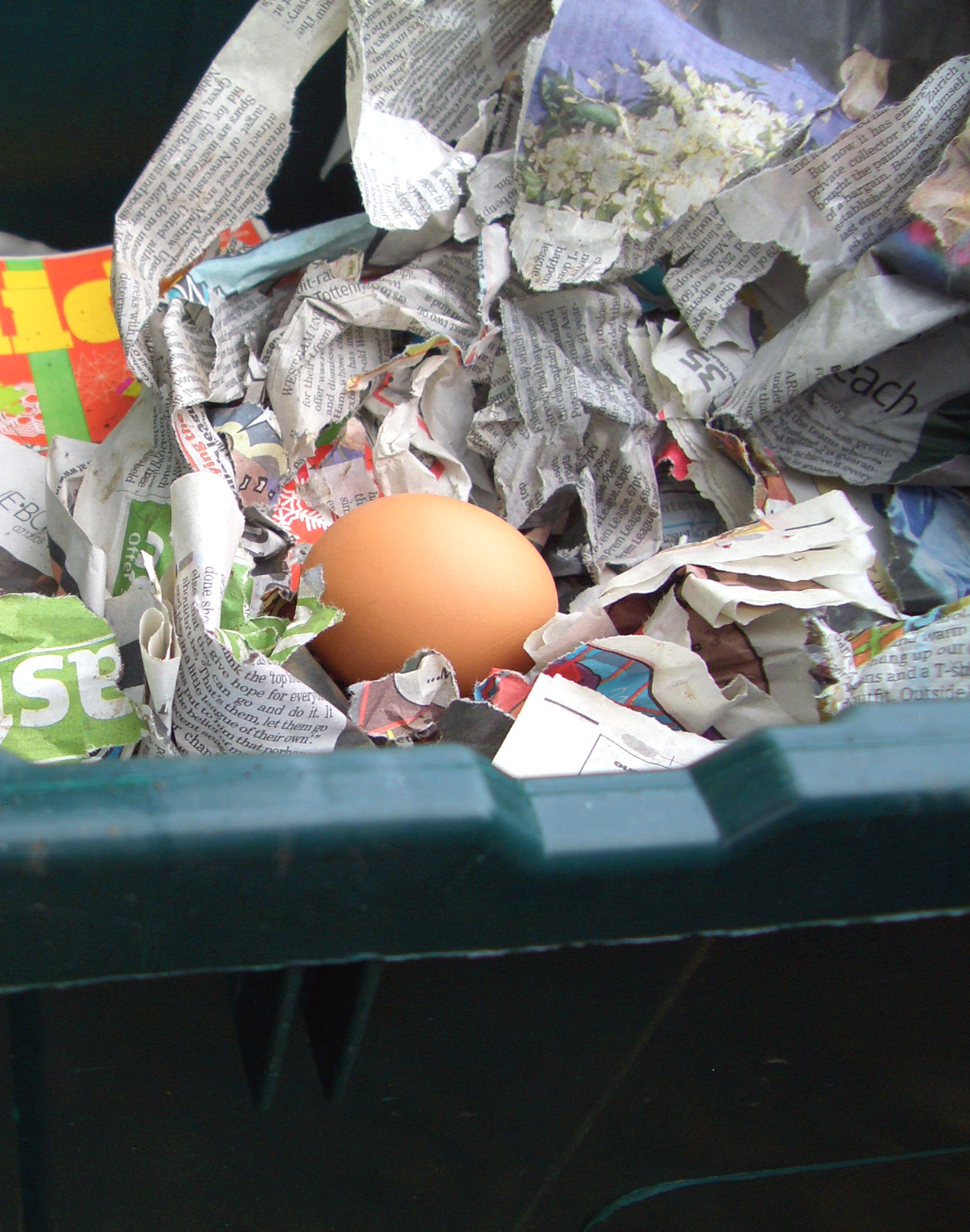 [egg.jpg]
