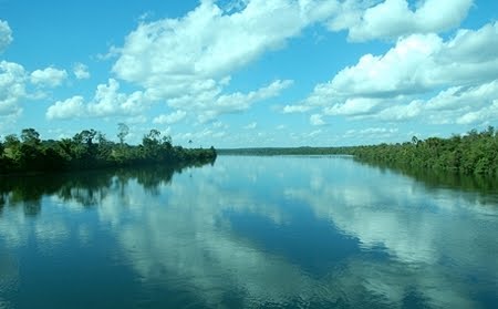 Floresta Nacional de Jatuarana Amazonas Klima Naturali™