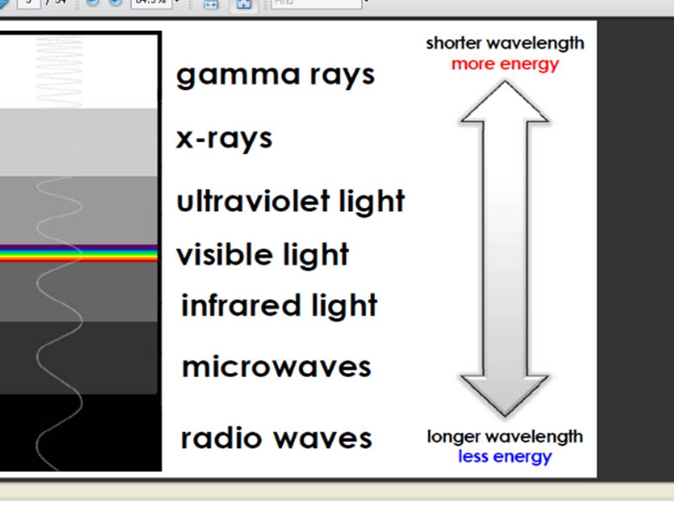 Mrs. Hill's Science Class February 2011