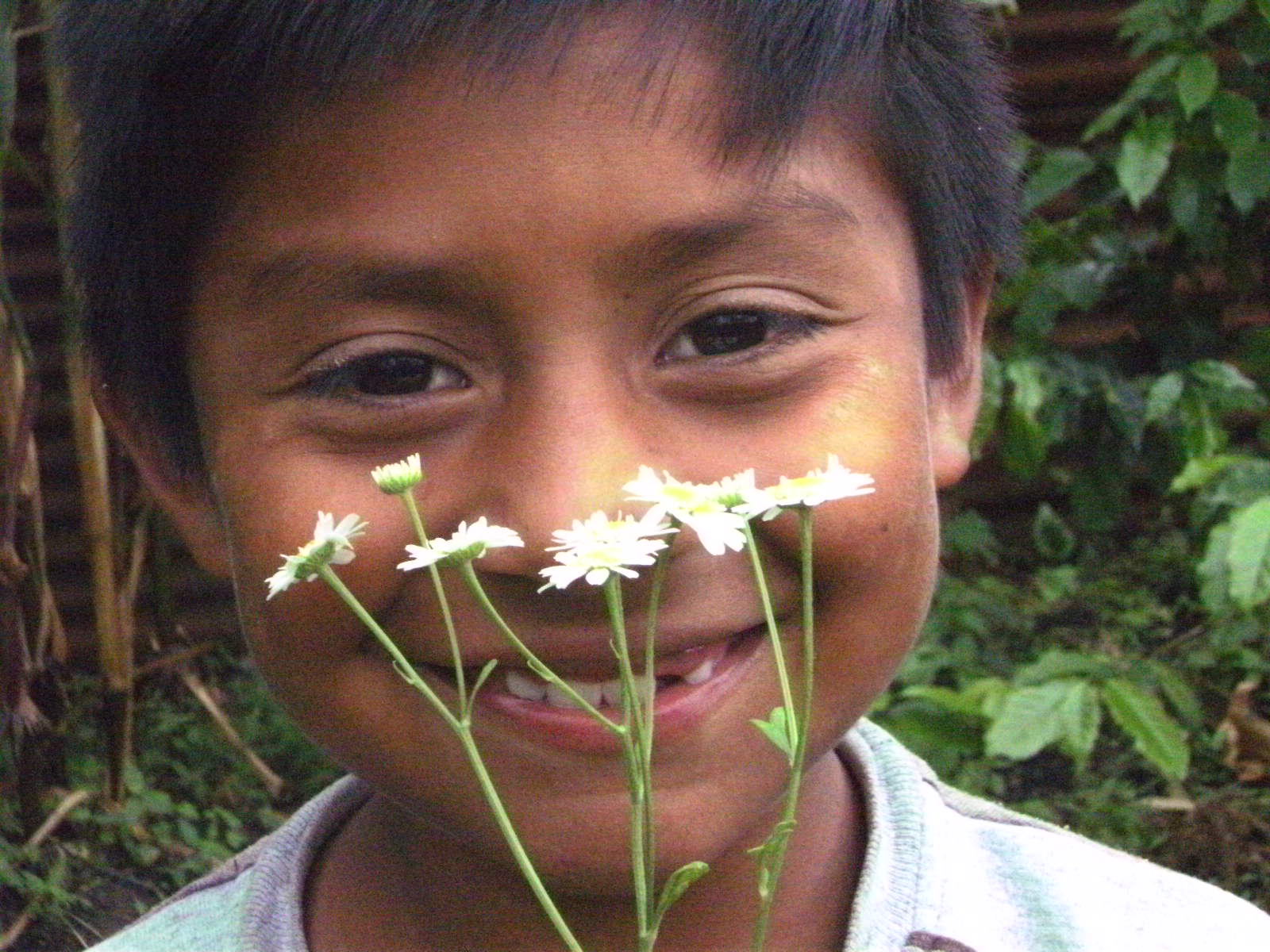 [PICT0378.JPG]