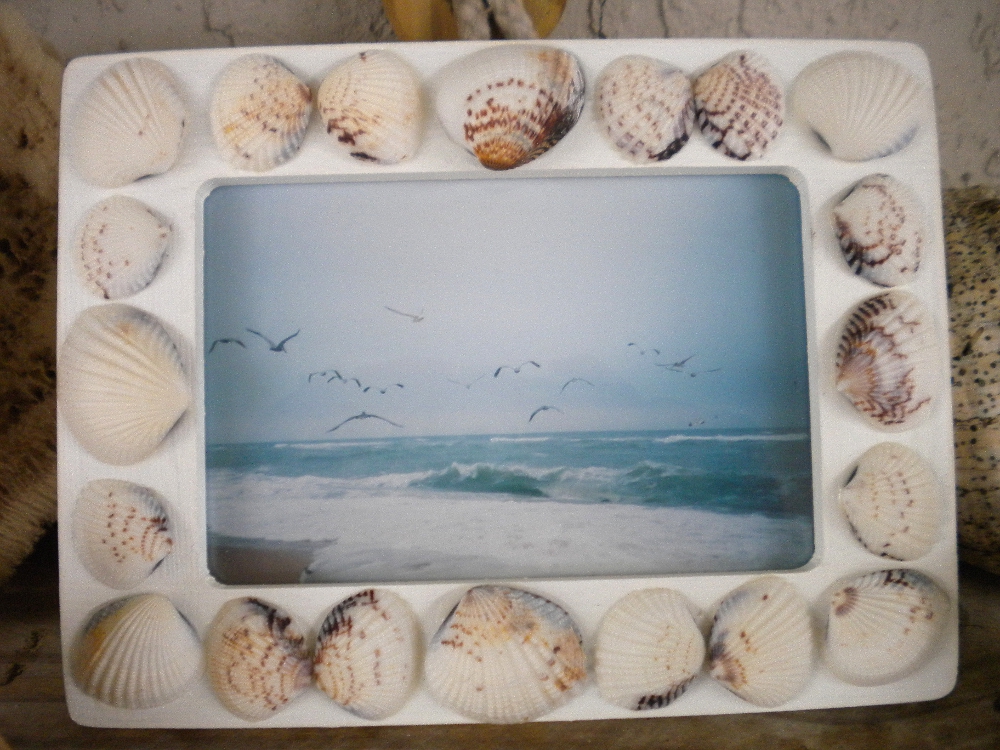 Del's Shells Seashell Photo Frames for Beachy Home Decor