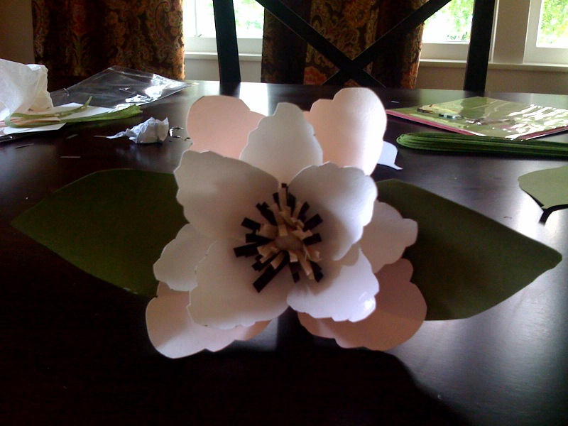[Magnoliaflower.jpg]