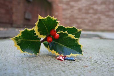 http://3.bp.blogspot.com/_sn46FqbBIu8/SU5xIJaSC3I/AAAAAAAABAg/Po8O8dfVYMg/s400/crappy+xmas+1+-+blog.jpg