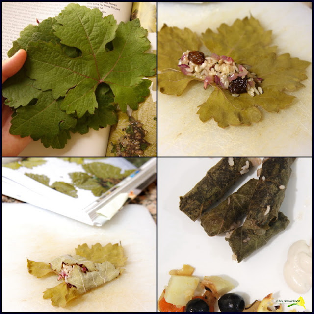 Fotos de hojas de parra Imagui