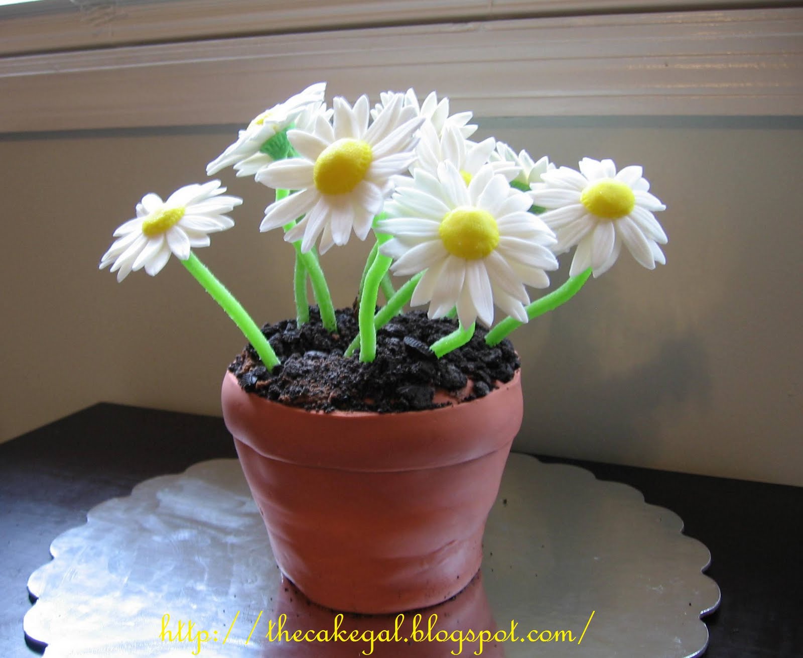 Cakes! Daisy Flower Pot Cake