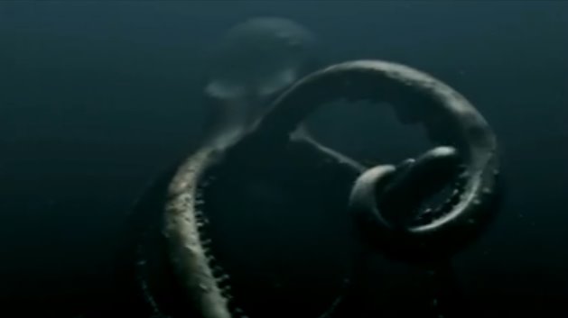 [octopus.jpg]