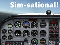 [simsational.jpg]