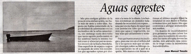 Articulos Diario La Capital de Mar del Plata