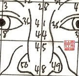 Chinese Physiognomy Dictionary | RM. Chinese Physiognomy Dictionary | RM.