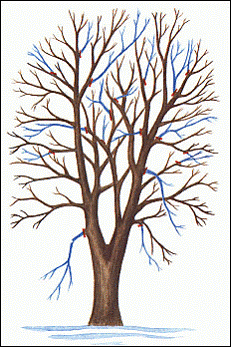 [image006.gif]