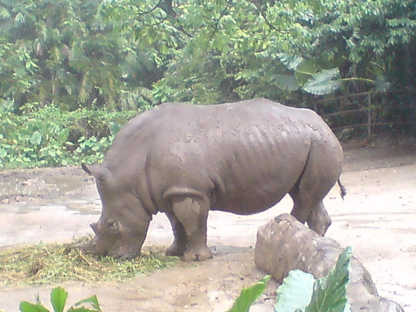 [DSC00429.JPG]