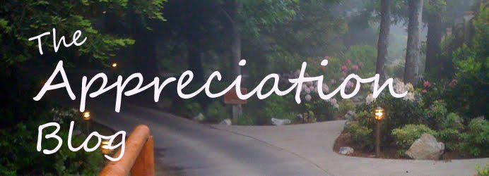 The Appreciation Blog