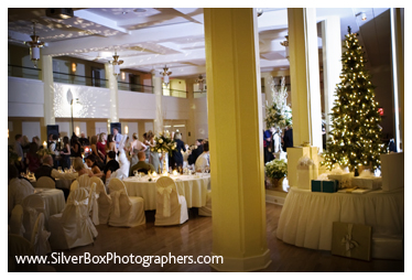 [ballroom+tree+CarterNivens_420.jpg]